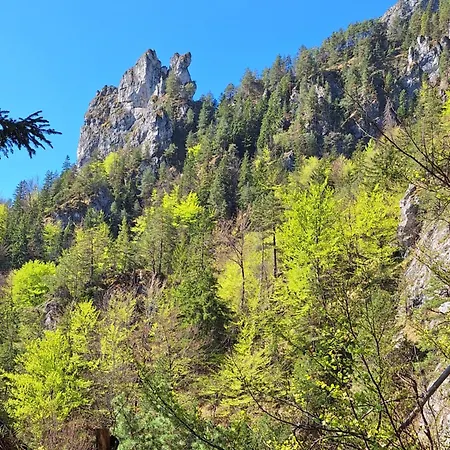 Do Zlatneho Hébergement de vacances Terchová